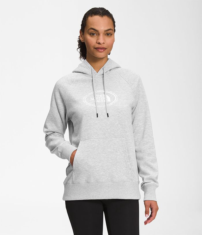 The North Face Hoodie Novelty Graphic Light Grey - Womens - Thailand FQSIN-6025